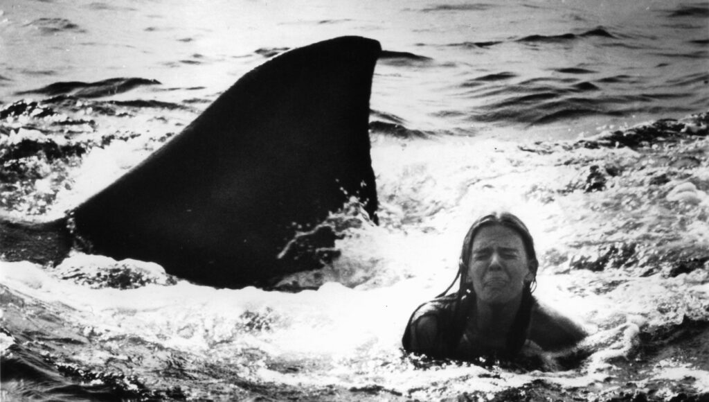 jaws-2:-a-movie-where-the-novelization-was-better